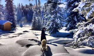 新疆旅游线路 新疆旅游线路