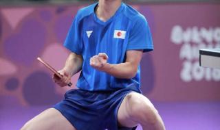 王楚钦对阵张本智和 王楚钦对阵张本智和