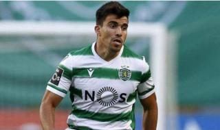 阿根廷国家队图片2022